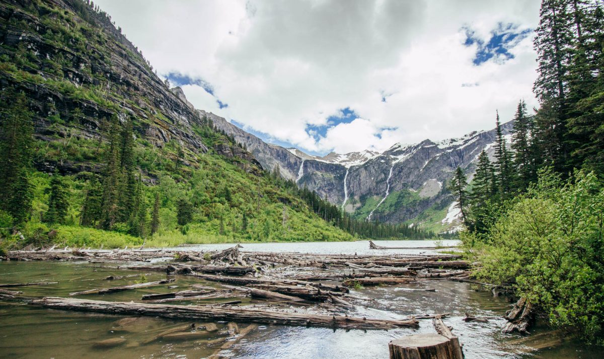 Photography Avalanche Lake Trail At Glacier NP Sidecar Photo