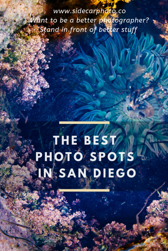 Great Places to Take Pictures in San Diego