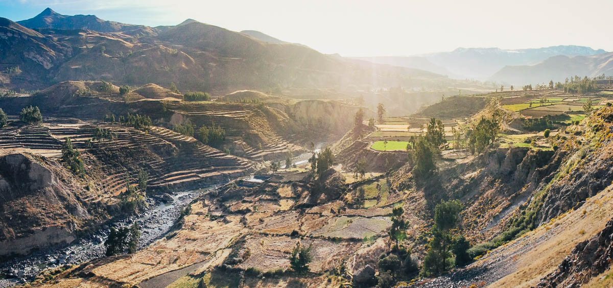 Colca Canyon Without Hiking